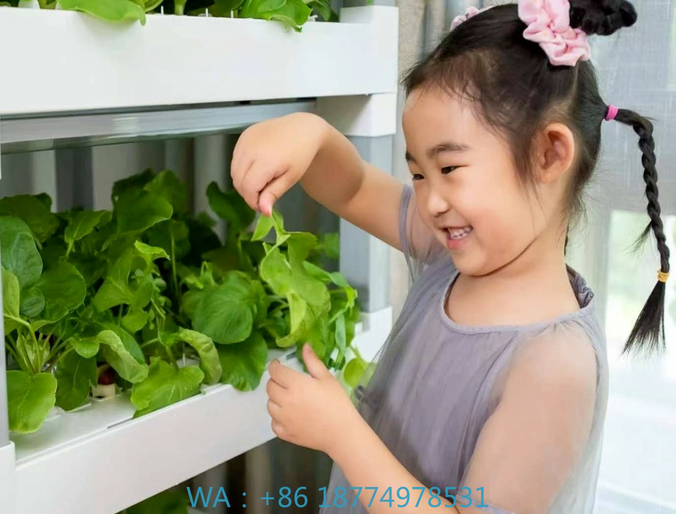 Diy Home Automation System - nt China Hydrokultur Grow Box System